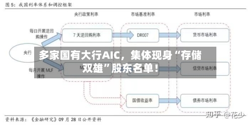 多家国有大行AIC，集体现身“存储双雄”股东名单！-第2张图片