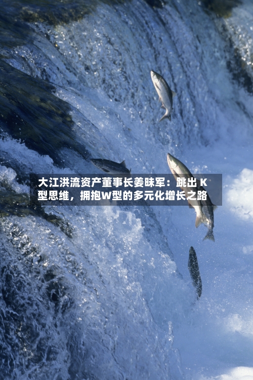 大江洪流资产董事长姜昧军：跳出 K 型思维，拥抱W型的多元化增长之路-第2张图片