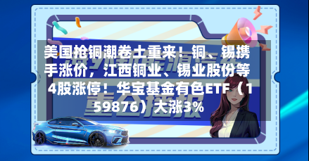 美国抢铜潮卷土重来！铜、锡携手涨价，江西铜业、锡业股份等4股涨停！华宝基金有色ETF（159876）大涨3%-第3张图片