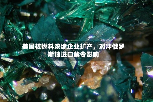 美国核燃料浓缩企业扩产，对冲俄罗斯铀进口禁令影响-第2张图片