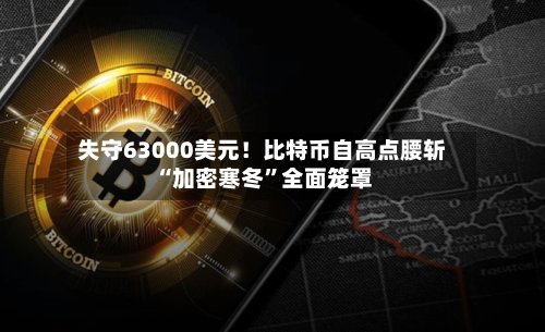 失守63000美元！比特币自高点腰斩 “加密寒冬”全面笼罩-第3张图片